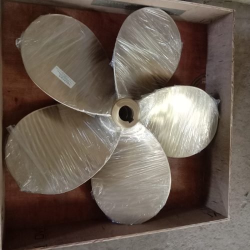 WhatsApp Image 2025-11-23 at 9.15.44 AM